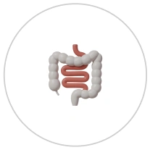 gut
